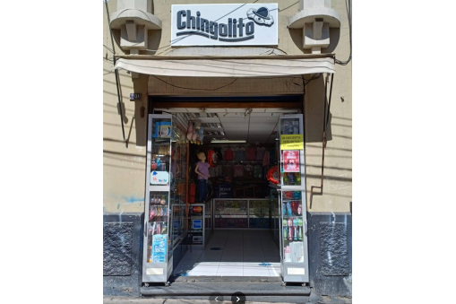 CHINGOLITO SAN CAMILO 109 CHINGOLITO SAN CAMILO 109